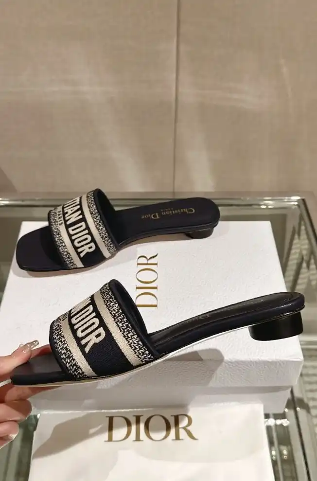 hype Christian Dior Slippers