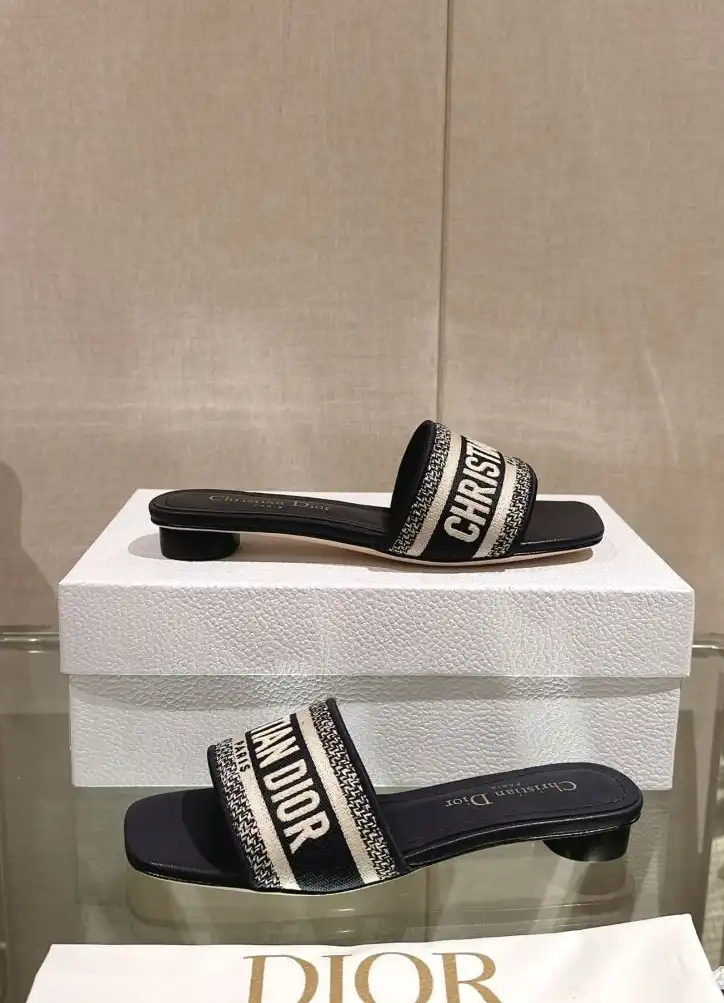 hype Christian Dior Slippers