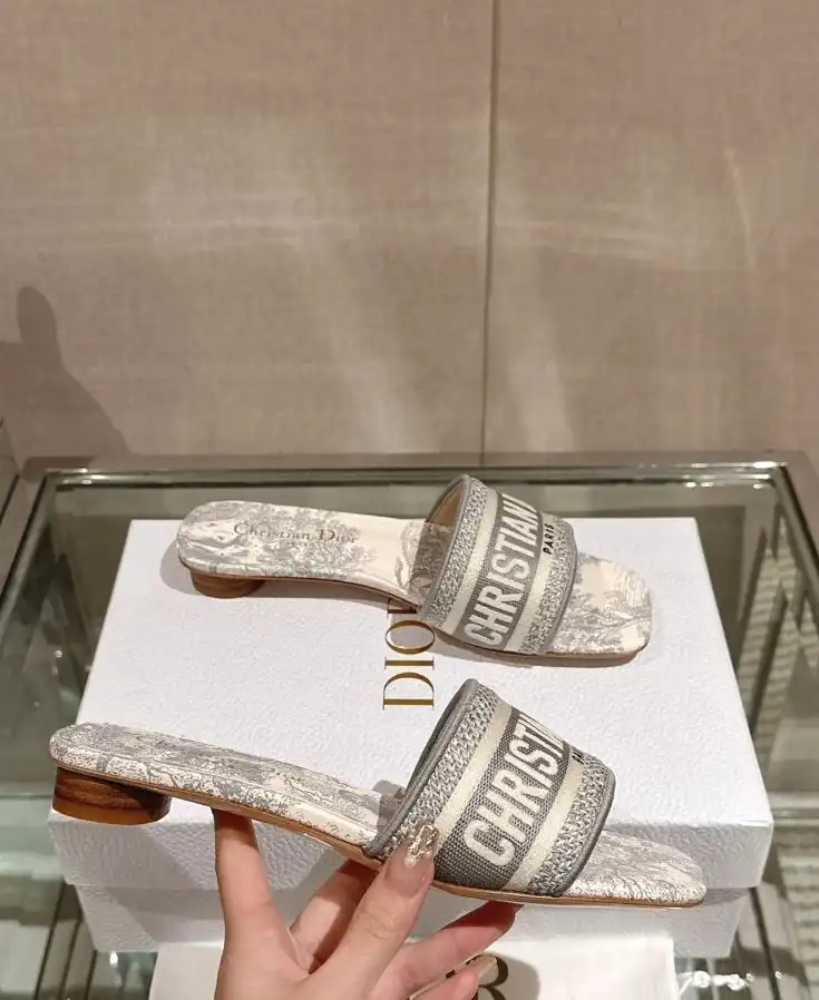 hype Christian Dior Slippers