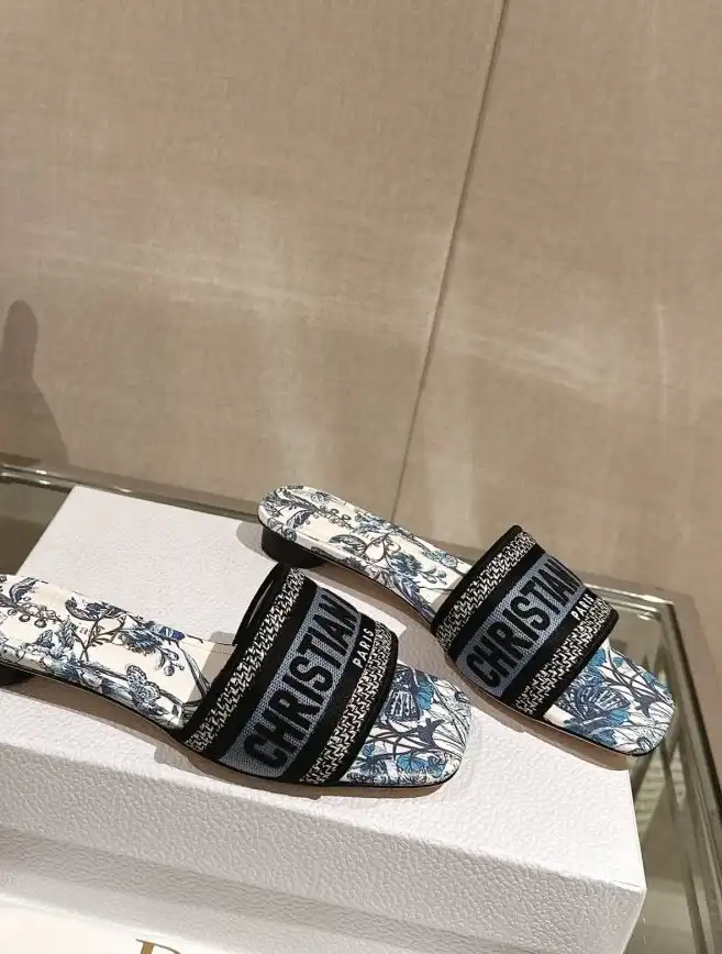 hype Christian Dior Slippers