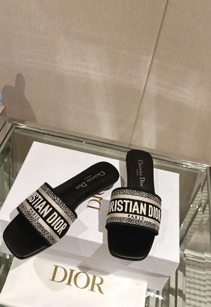 hype Christian Dior Slippers