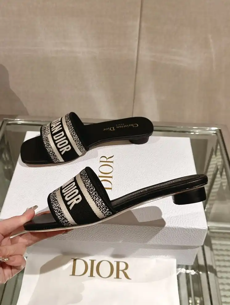 hype Christian Dior Slippers