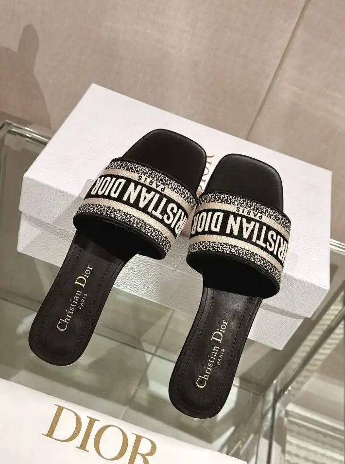 hype Christian Dior Slippers