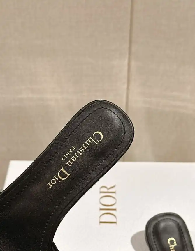 hype Christian Dior Slippers