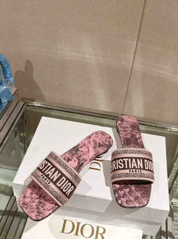 hype Christian Dior Slippers