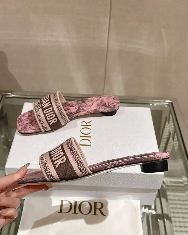 hype Christian Dior Slippers