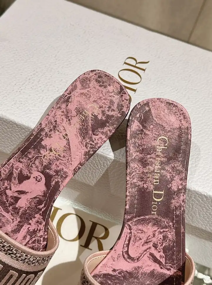 hype Christian Dior Slippers