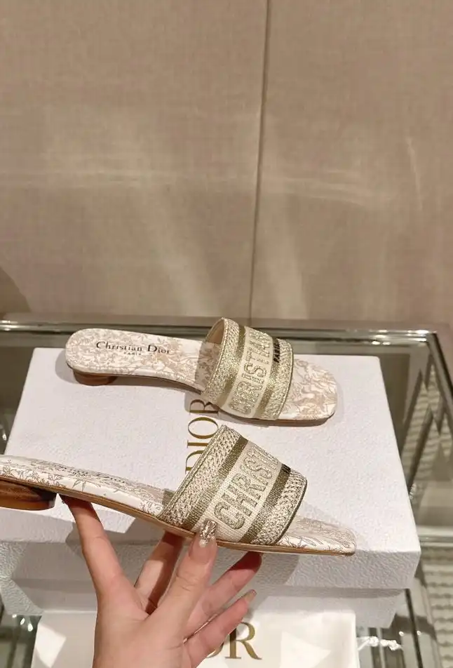 hype Christian Dior Slippers