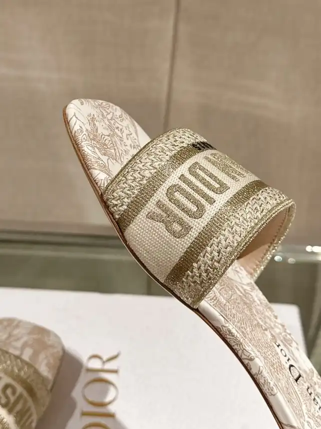 hype Christian Dior Slippers