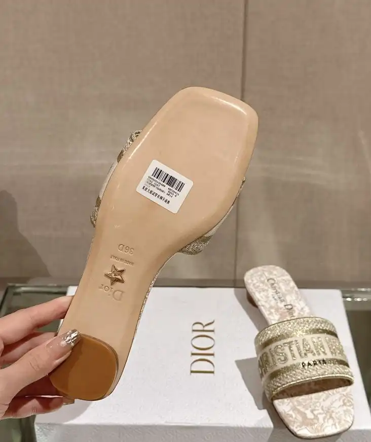 hype Christian Dior Slippers