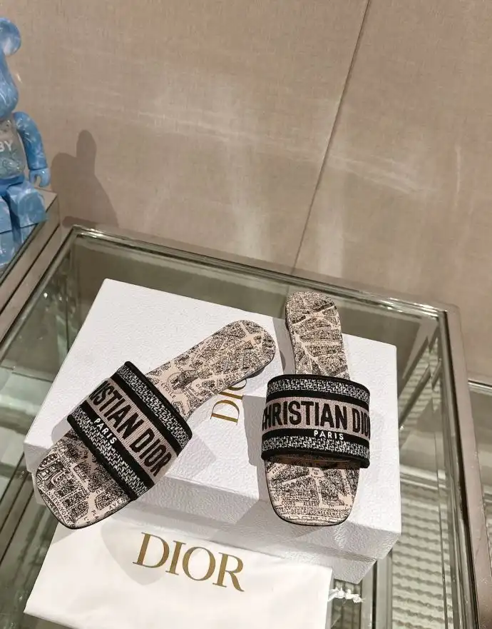 hype Christian Dior Slippers