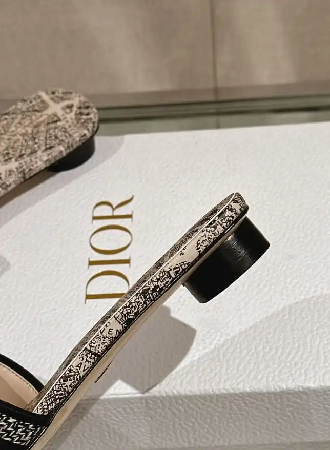 hype Christian Dior Slippers