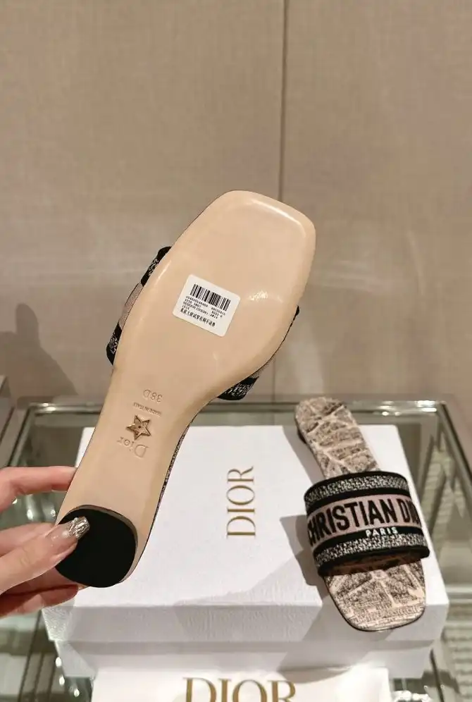 hype Christian Dior Slippers