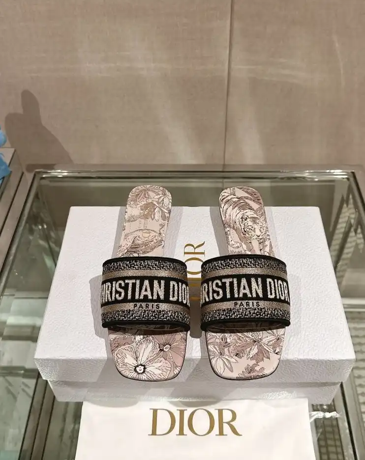 hype Christian Dior Slippers