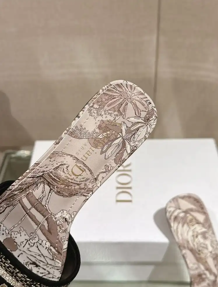 hype Christian Dior Slippers