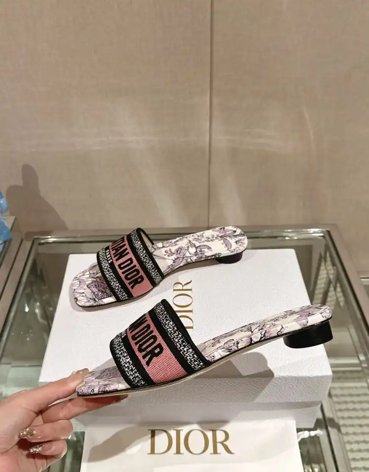 hype Christian Dior Slippers