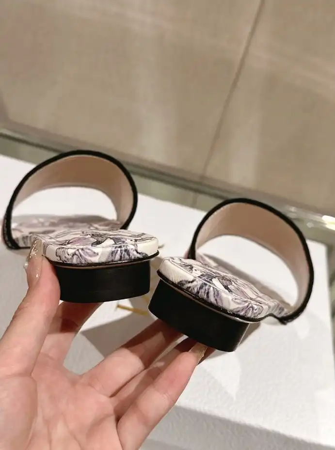 hype Christian Dior Slippers