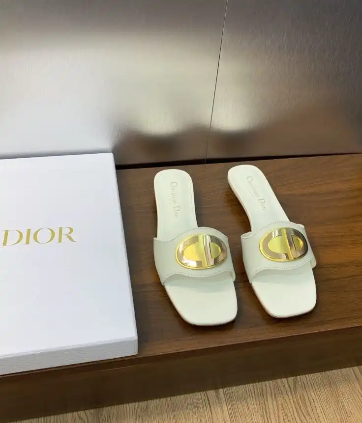 hype Christian Dior Slippers