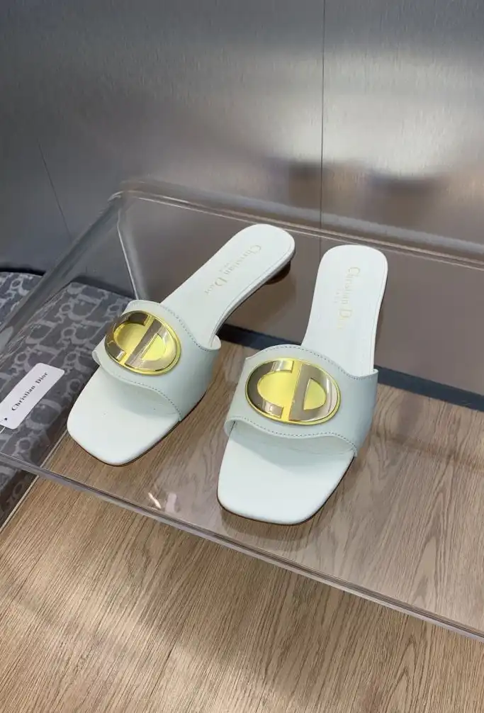 hype Christian Dior Slippers