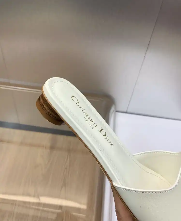 hype Christian Dior Slippers