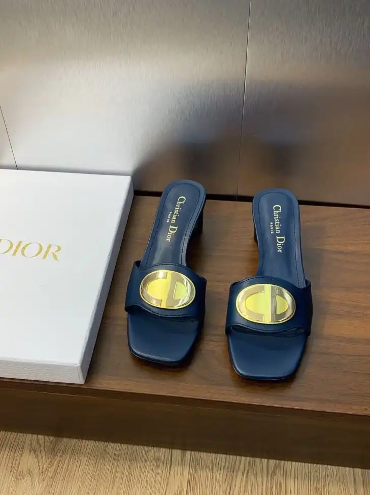 hype Christian Dior Slippers