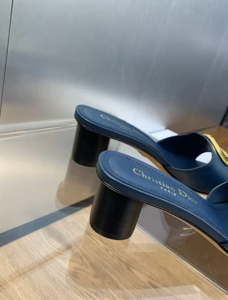 hype Christian Dior Slippers