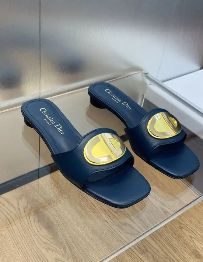 hype Christian Dior Slippers