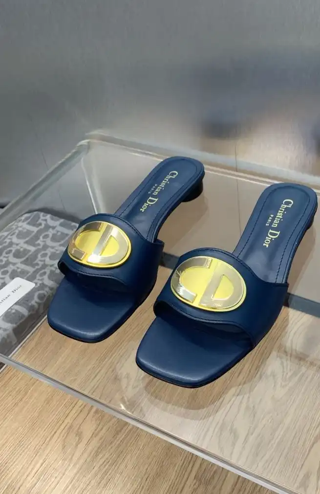 hype Christian Dior Slippers