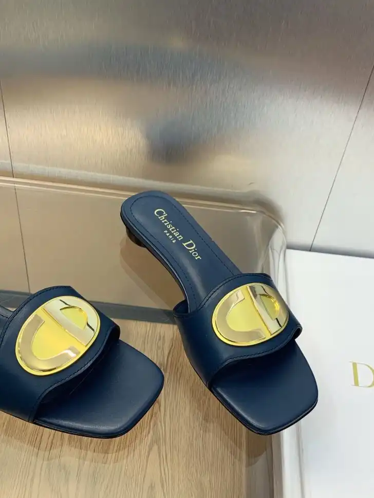 hype Christian Dior Slippers