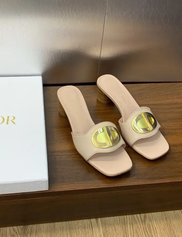 hype Christian Dior Slippers