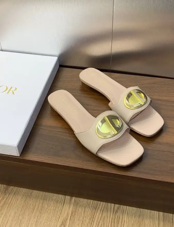 hype Christian Dior Slippers