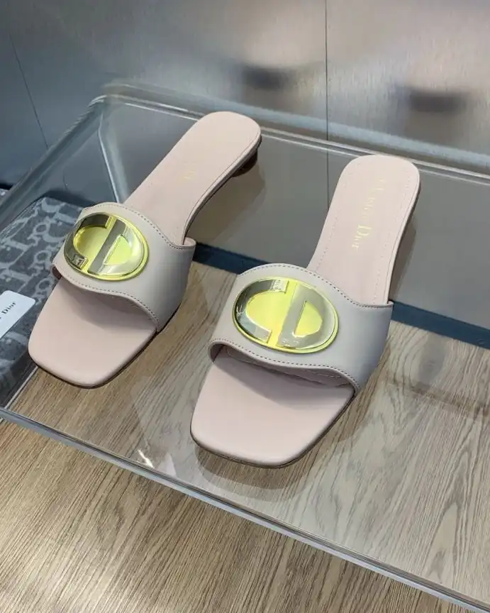 hype Christian Dior Slippers