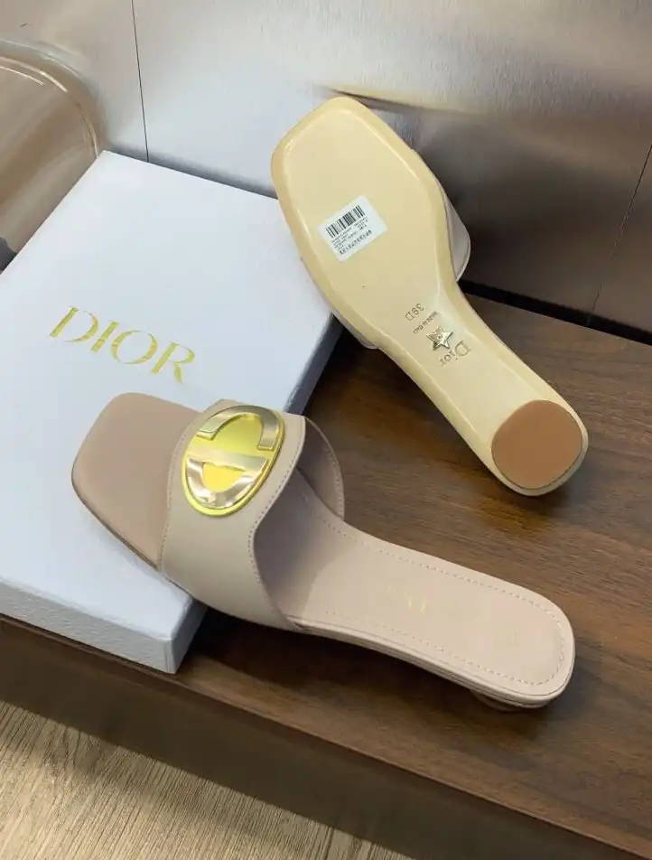 hype Christian Dior Slippers