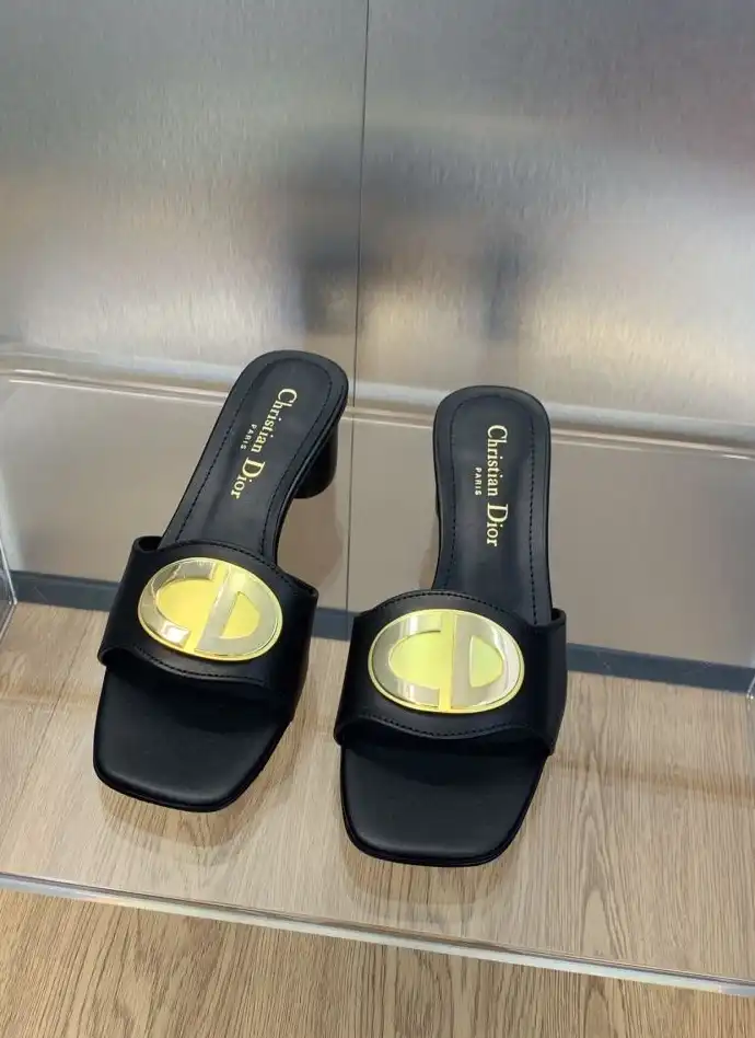 hype Christian Dior Slippers