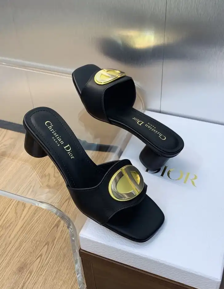 hype Christian Dior Slippers