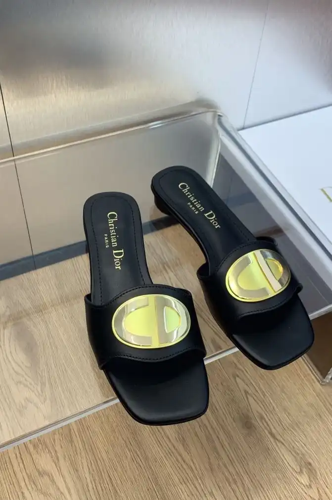 hype Christian Dior Slippers