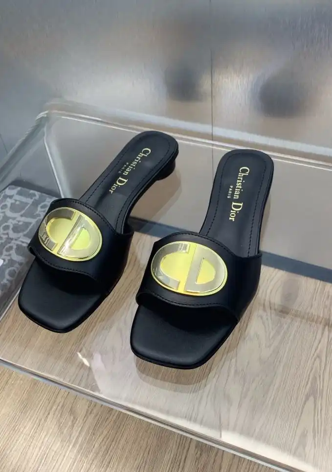 hype Christian Dior Slippers