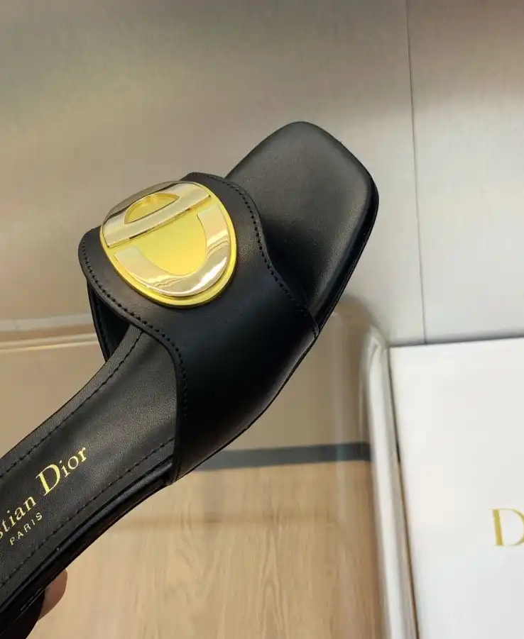 hype Christian Dior Slippers