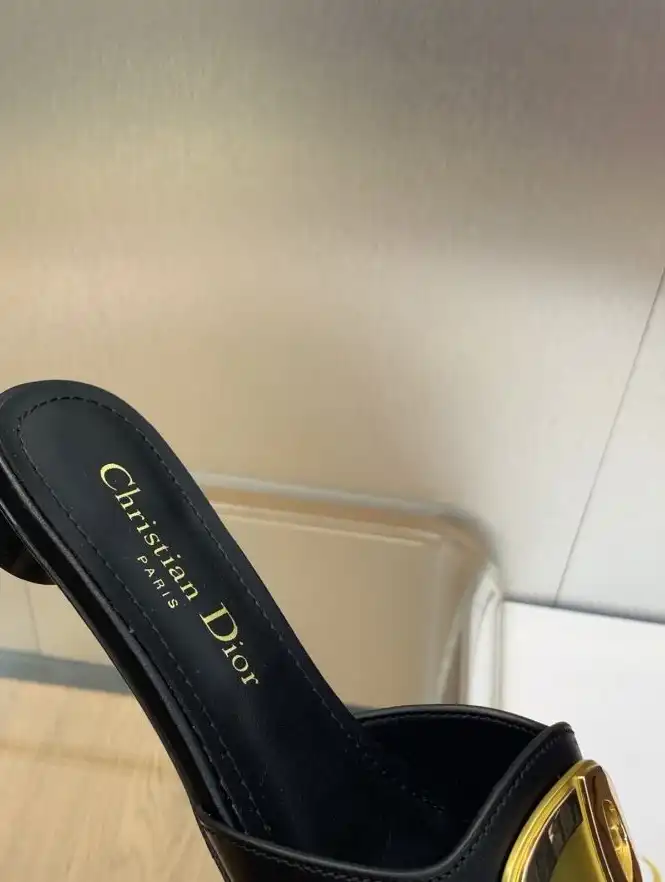 hype Christian Dior Slippers