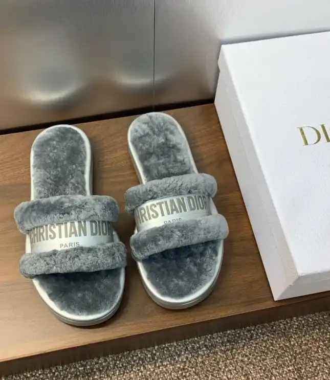 hype Christian Dior Slippers