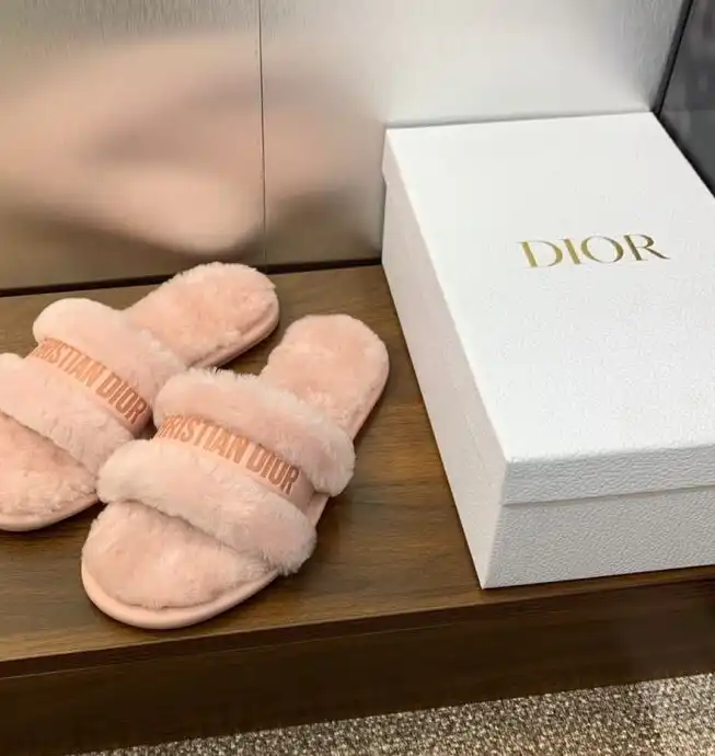 hype Christian Dior Slippers