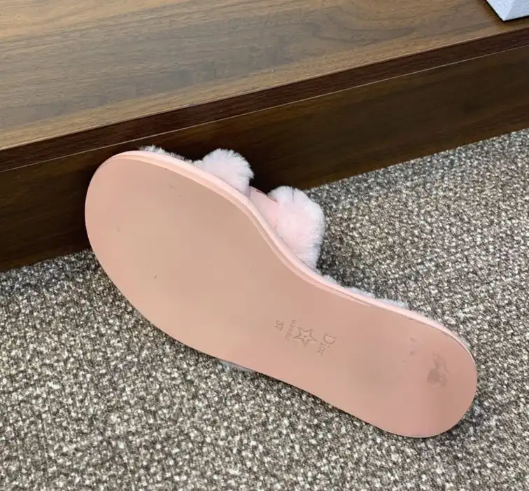 hype Christian Dior Slippers