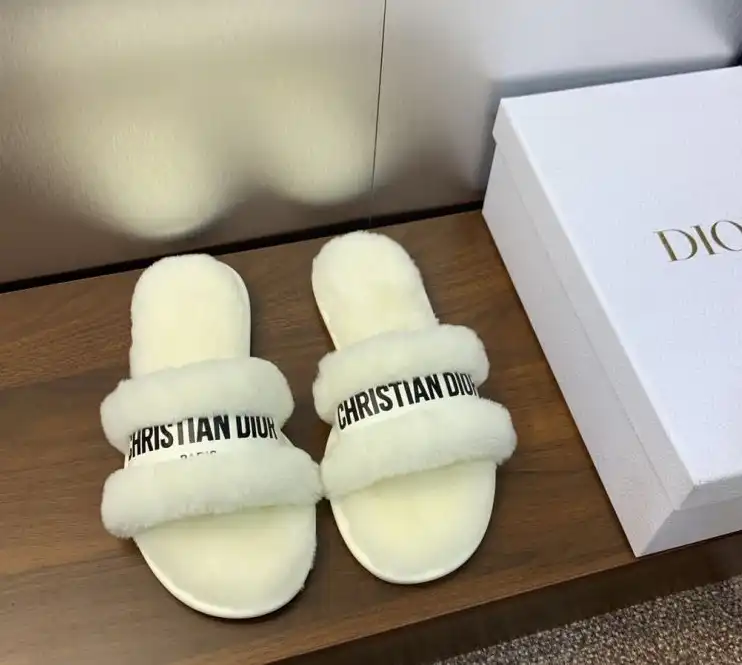 hype Christian Dior Slippers