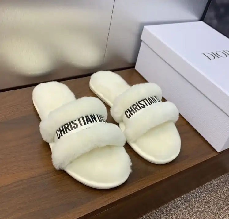 hype Christian Dior Slippers