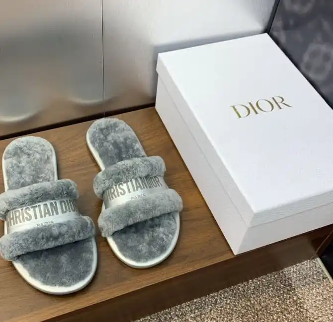 hype Christian Dior Slippers