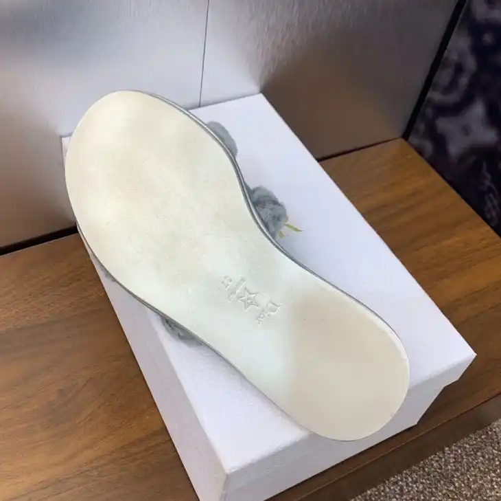 hype Christian Dior Slippers