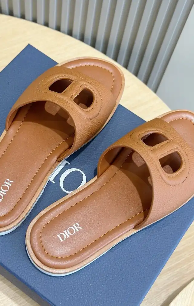 hype Christian Dior Slippers