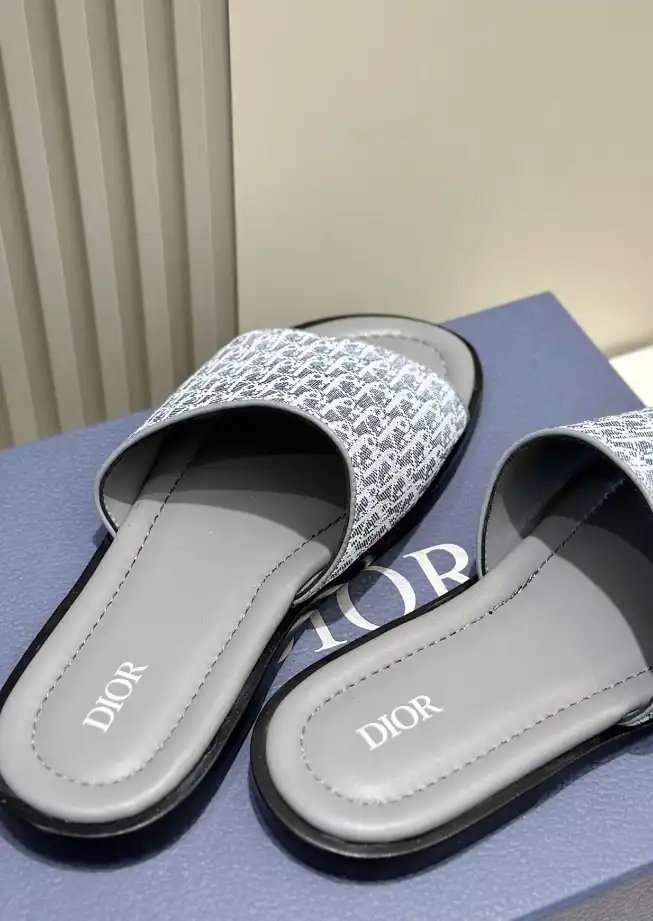 hype Christian Dior Slippers