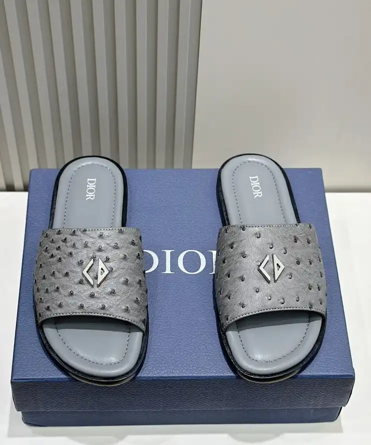 hype Christian Dior Slippers