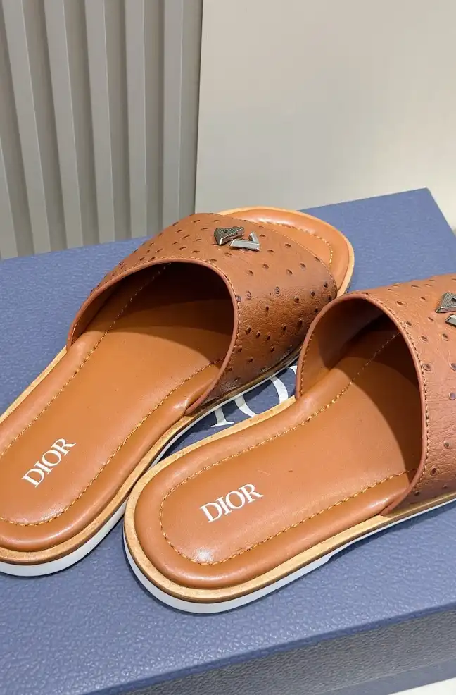 hype Christian Dior Slippers